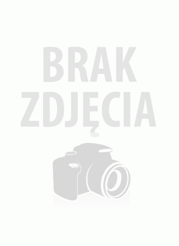 Komin dwuścienny izolowany kwaso-żaroodporny 4m (gr. 0,6mm) 130/190